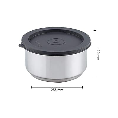 Borosil Carry Fresh Stainless Steel Insulated Lunch Box with Bag, Set of 4 (280 ml x 2, 180 ml x 2)