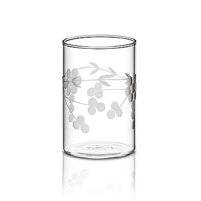 Borosil 295 ml Set of 6 pcs Berry Vision Transparent Drinking Glass | Borosilicate Glass Tumblers for Water, Cold Drinks, Juice| Flame Proof, Microwave & Dishwasher Safe | for Daily use & Gifting