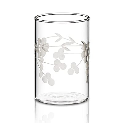 Borosil 350 ml Set of 6 pcs Berry Vision Transparent Drinking Glass | Borosilicate Glass Tumblers for Water, Cold Drinks, Juice| Flame Proof, Microwave & Dishwasher Safe | for Daily use & Gifting