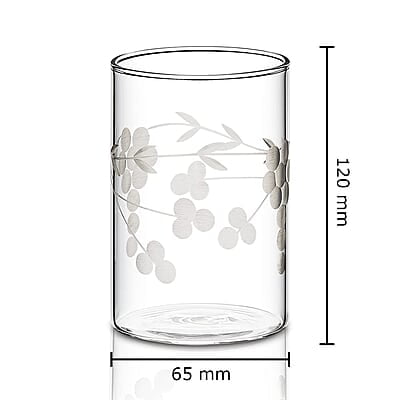 Borosil 350 ml Set of 6 pcs Berry Vision Transparent Drinking Glass | Borosilicate Glass Tumblers for Water, Cold Drinks, Juice| Flame Proof, Microwave & Dishwasher Safe | for Daily use & Gifting