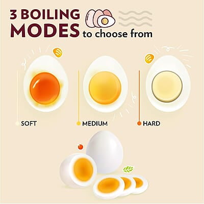 Borosil Electric Plus Egg Boiler, Boil Upto 8 Eggs At A Time, For Hard, Soft, Medium Boiled Eggs, Steamed Vegetables, Transparent Lid, Stainless Steel Exterior