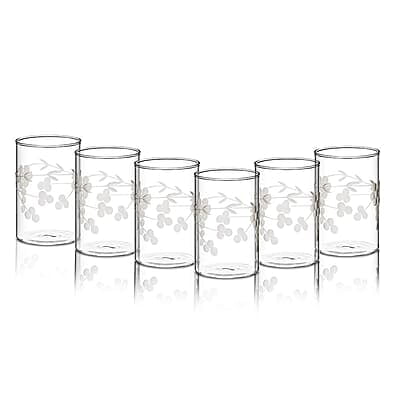 Borosil 295 ml Set of 6 pcs Berry Vision Transparent Drinking Glass | Borosilicate Glass Tumblers for Water, Cold Drinks, Juice| Flame Proof, Microwave & Dishwasher Safe | for Daily use & Gifting