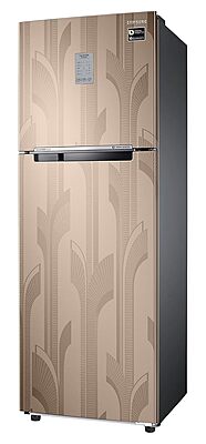 Samsung 256L 2 Star Inverter Frost-Free Convertible 3 In 1 Double Door Refrigerator Samsung 256L 2 Star Inverter Frost-Free Convertible 3 In 1 Double Door Refrigerator