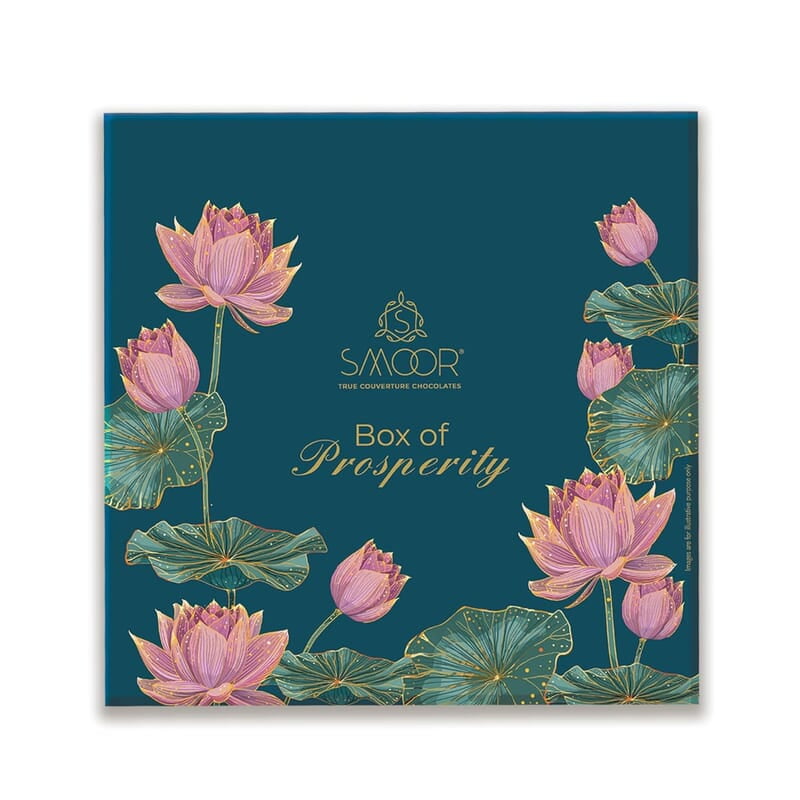 SMOOR Box Of Prosperity Choco Coin Gift Pack Special Occasions Box of 16 (224gm)