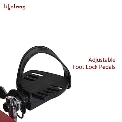Lifelong LLFCN18 Steel Exercise Air Bike with Moving Handles & Back Support