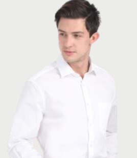 Peter England Formal Shirt Peter England Formal Shirt