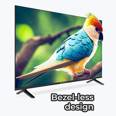 Zeb 55W2